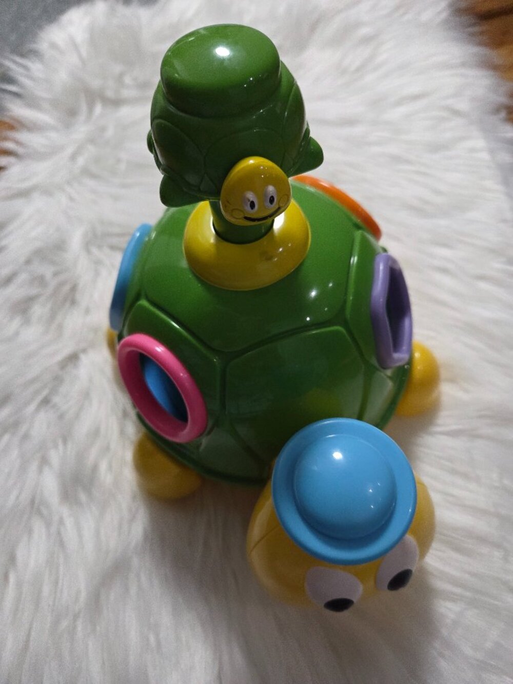 Hap-P-Kid Little Learner Turtle Shape Sorter